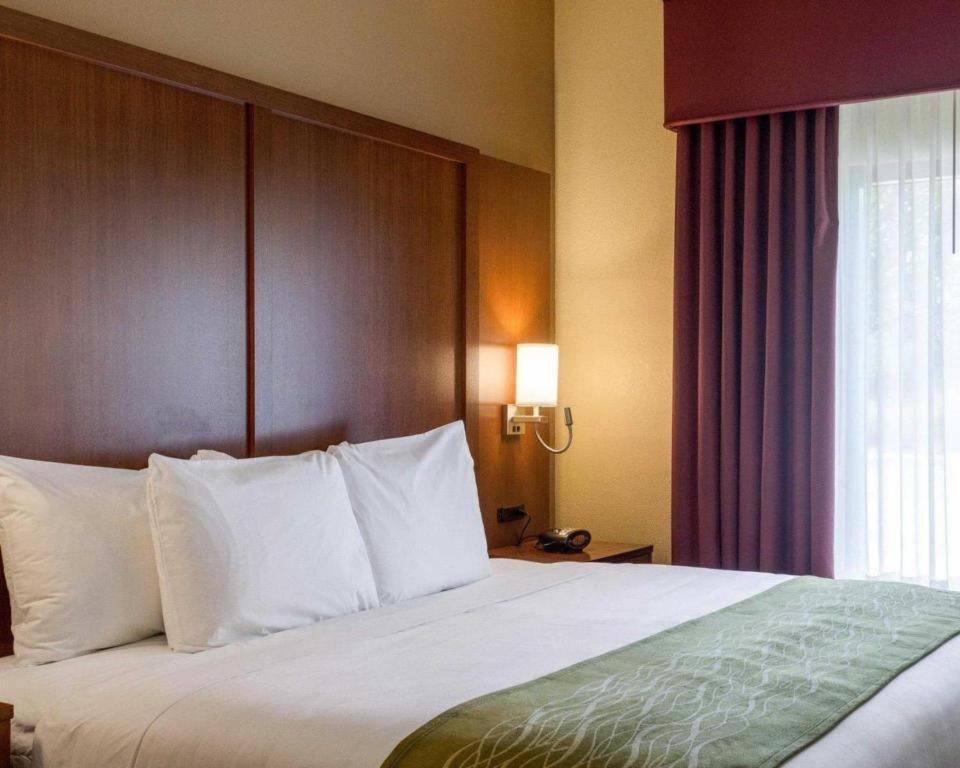Comfort Suites Старквилл Экстерьер фото